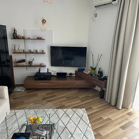 In Vip Club Dolphin *