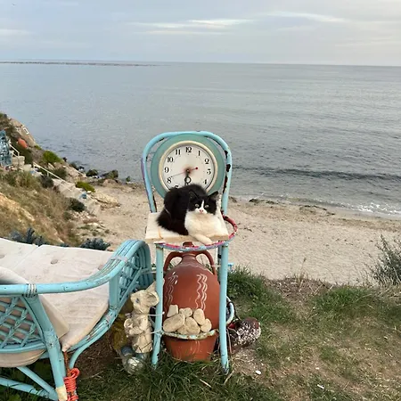 In Vip Club Dolphin Lägenhet Slăntjev Brjag