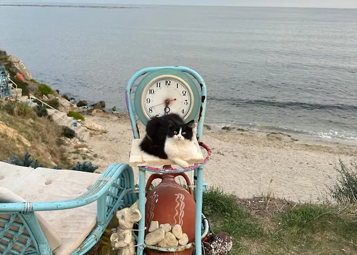 In Vip Club Dolphin Lägenhet Slăntjev Brjag