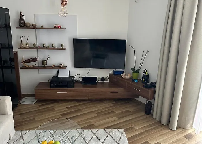 In Vip Club Dolphin *